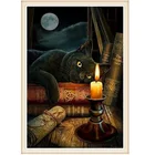 Набор для вышивки крестиком Cat, который смотрит на свечи, хочет почитать, 11ct 14CT