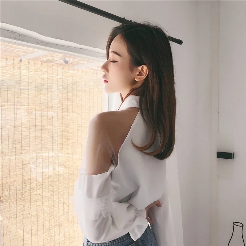 WHITNEY WANG 2019 Spring Fashion Streetwear Sexy See Through Mesh Patchwork Blouse Women blusas Shirt Tops |