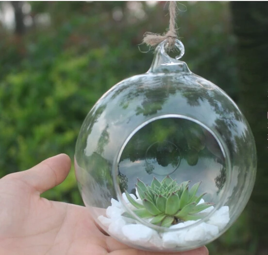 

20 pcs Borosilicate Glass Hanging Vase & Tabletop Vases Home Deco Transparent Diameter 6 cm