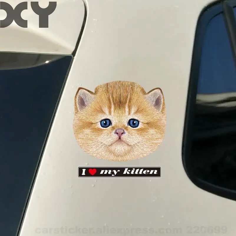 I Love My Kitten водостойкая автомобильная наклейка s и виниловые наклейки для ноутбука