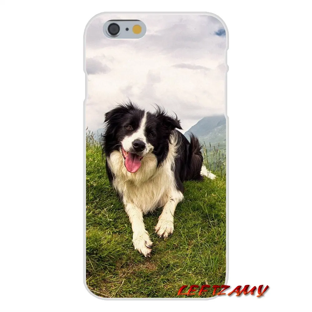 Аксессуары для телефона чехлы телефонов Border Collie lovely Dog Для Huawei P Smart Mate Honor 7A 7C 8C 8X 9