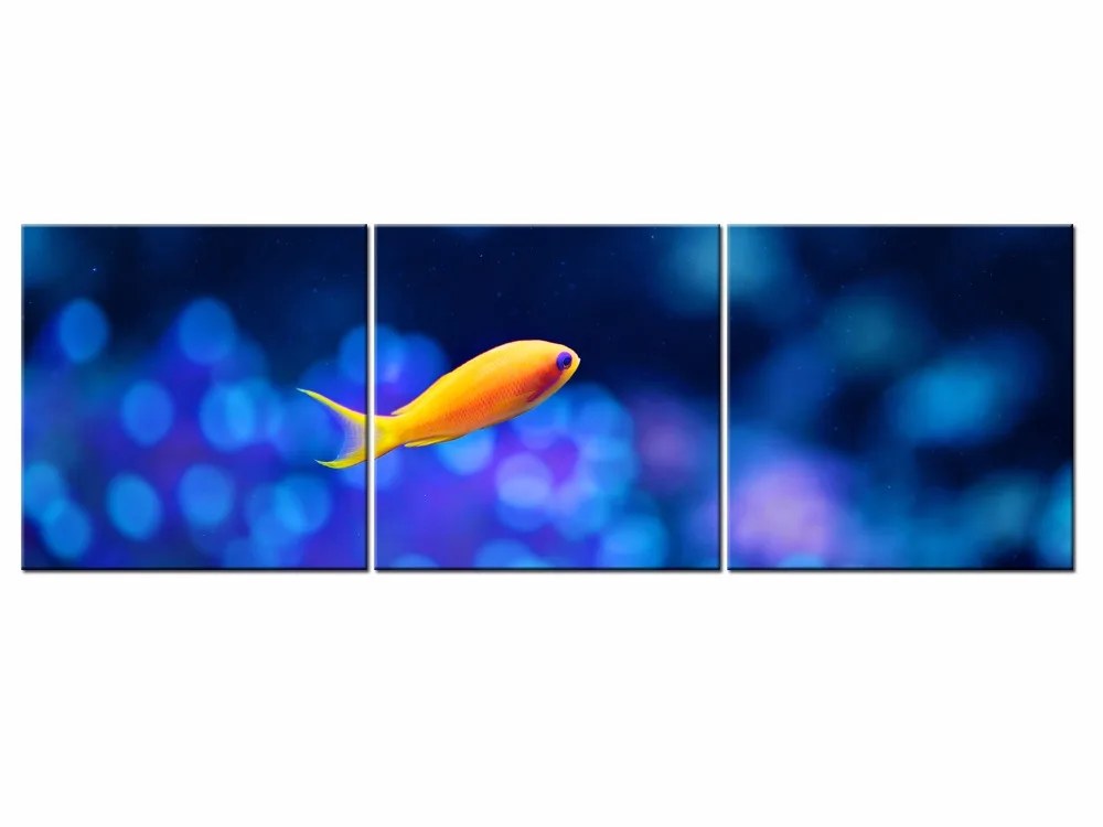 3 шт. wall art фотографии желтые Рыба животное холст картины для детей украшение