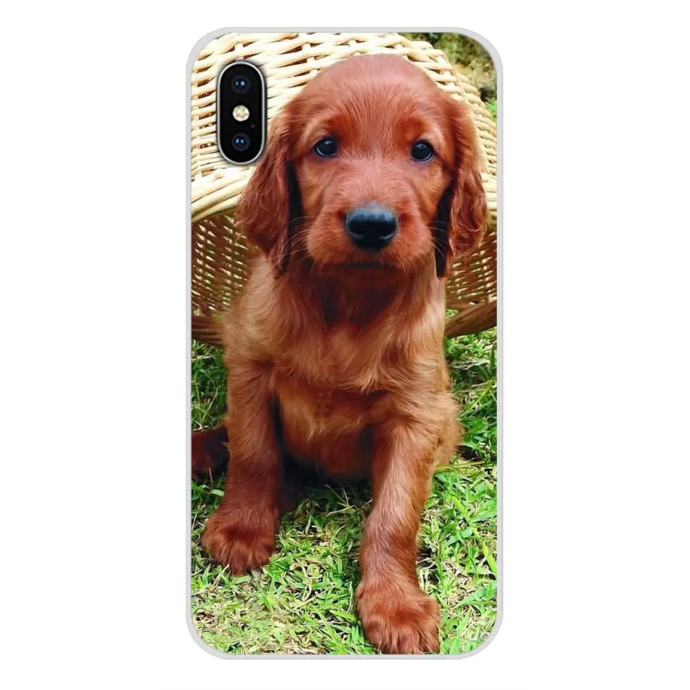 Чехлы и аксессуары для телефонов Xiaomi Redmi 4A S2 Note 3 3S 4 4X 5 Plus 6 7 6A Pro Pocophone F1 Irish Setter dog art