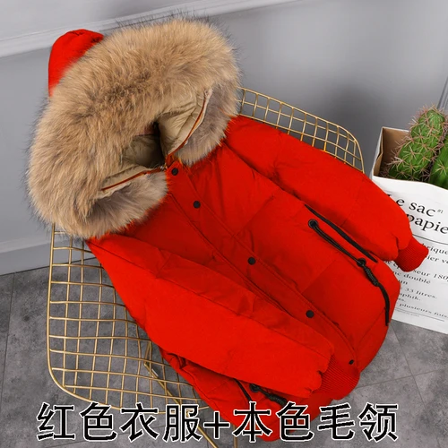 Red-brown fur 5XL, плюс размер, белый пуховик на утином пуху, женские зимние парки, гусиное перо, пальто, длинная теплая одежда, мех енота, верхняя одежда, Okq070 - Цвет: Red-brown fur