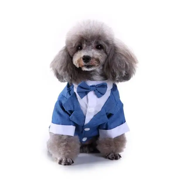 Джентльменская Одежда для собак кошек принц Свадебный костюм милый Cachorro Mascotas