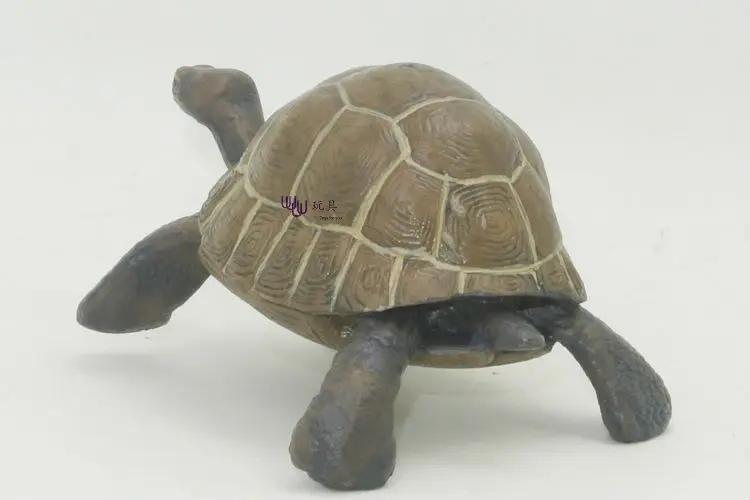 Горячая игрушка: маленький Галапагос гигантская черепаха модель животные