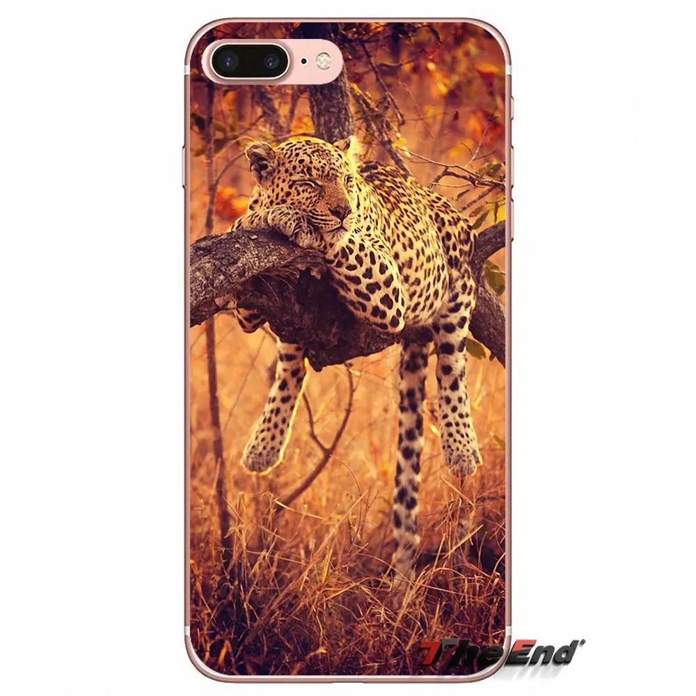 Мягкий чехол для iPhone X 4 4S 5 5S 5C SE 6 6S 7 8 Plus Samsung Galaxy J1 J3 J5 J7 A3 A5 2016 2017 Baby Cheetah Full Speed Sunset|case