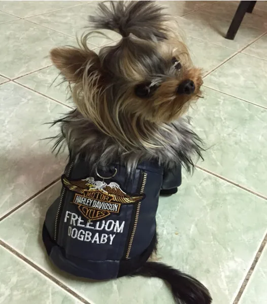 Супер собака одежда воздушный сила костюм куртка мех воротник домашнее животное