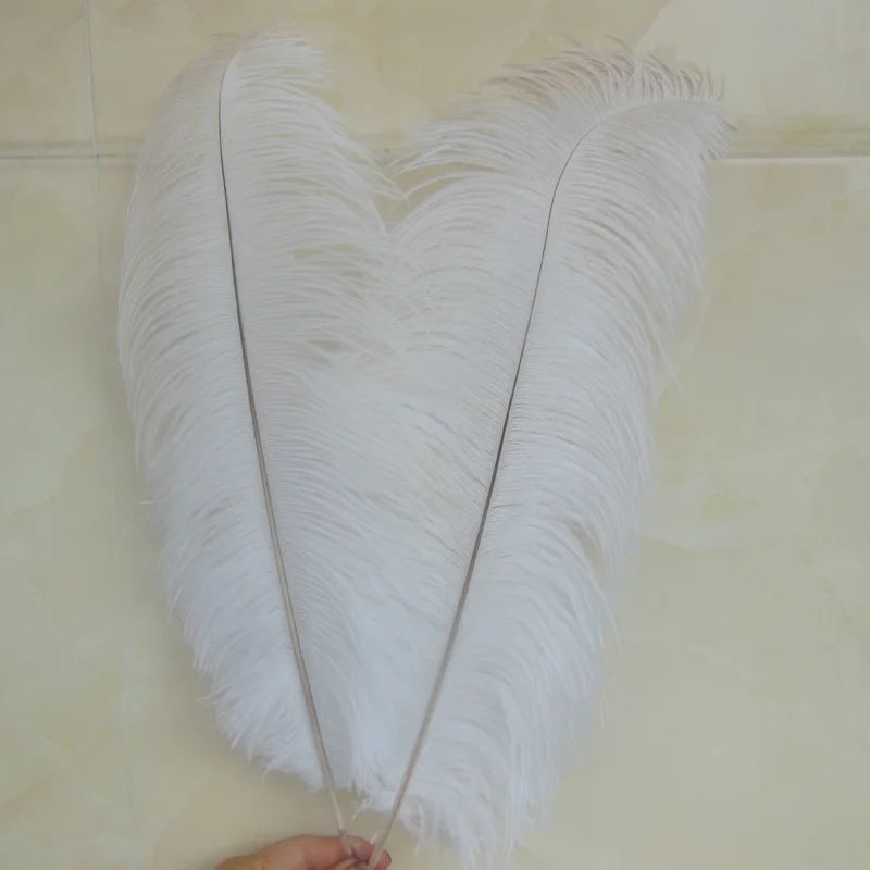 Оптовая продажа натуральный жесткий стержень 20 штук пакет Белые страусиные