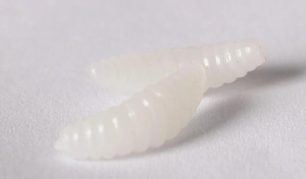 2 см 0,3 Г 600 шт Maggot Grub мягкие приманки Пять цветов на выбор запах червей светящиеся рыболовные приманки для креветок для океанской реки