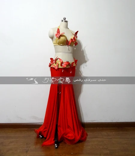 Oriental dancing costume Belly dance hair swinging Indian Egyptian costumes Bellydance clothes bra belt skirt dress 3046 | Тематическая