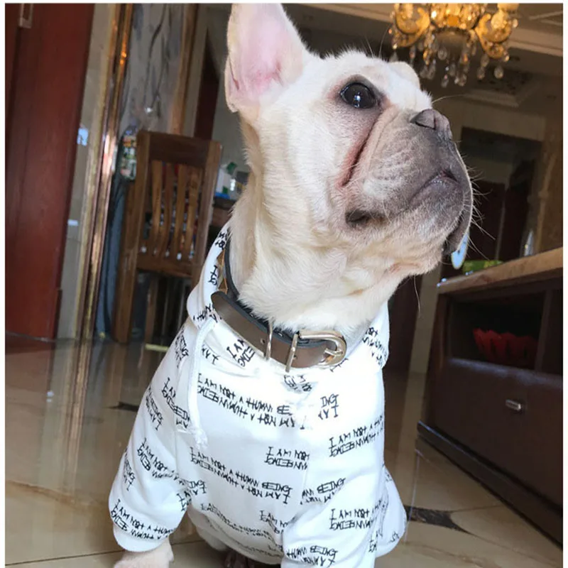 Новинка года стильная модная брендовая одежда для домашних животных сезон