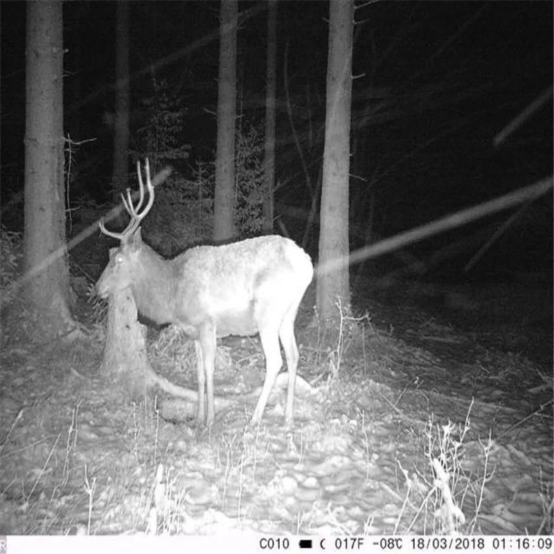 HT-001 охотничья камера 940nm Дикая камера GPRS IP54 1080P ночное видение для животных фото ловушки охотничья камера fotolovuska