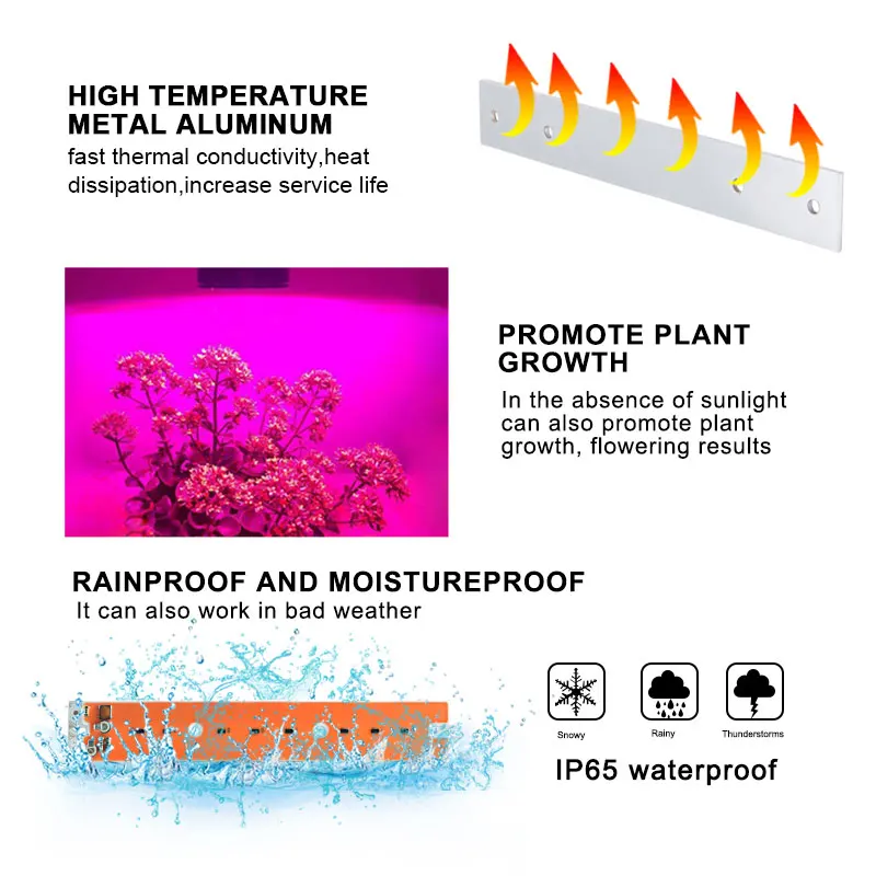 30 Вт 50 80 DIY COB светодиодный Grow Light Fitolampy полный спектр гидропоники для
