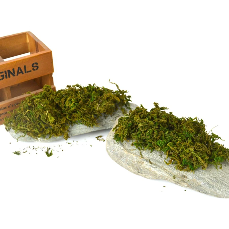 Искусственное растение Моха сделай сам цветок на стену для дома и сада