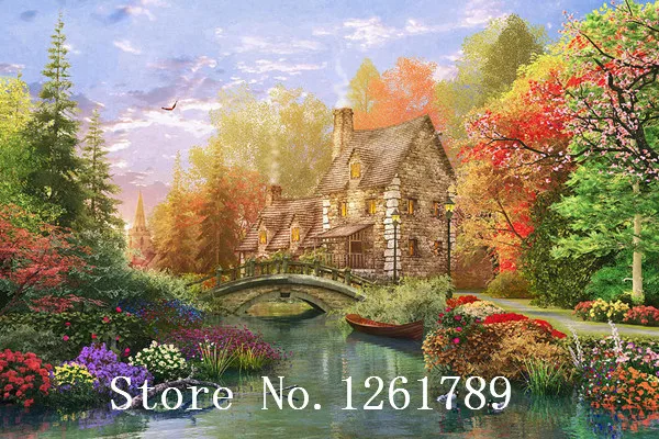 Набор для вышивки крестиком 14 карат вышивка французским DMC без рисунка картина