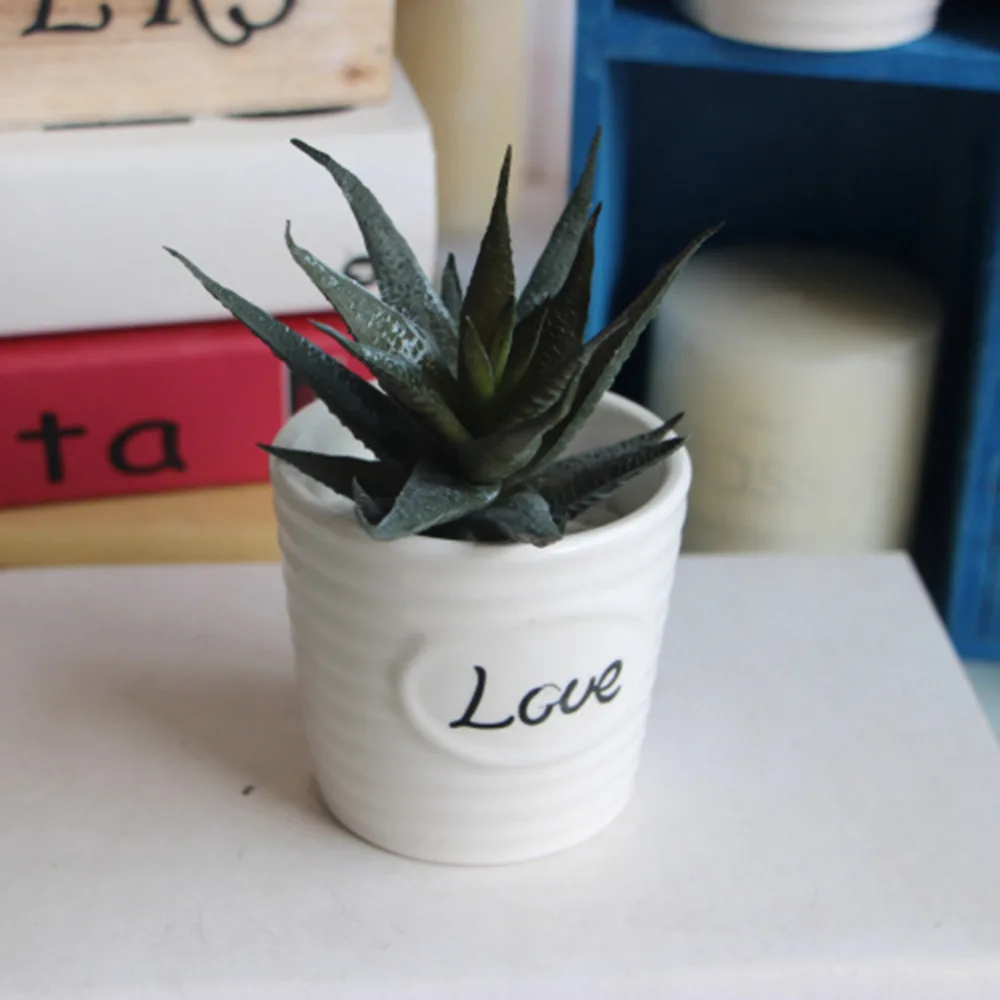 7 видов искусственных суккулентов растения лотоса трава пустыня пейзаж