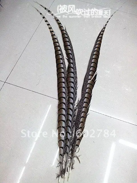 Женский хвост фазана бесплатная доставка 100 шт. 80 90 см 30 35 дюймов|feather clothes|feather flower