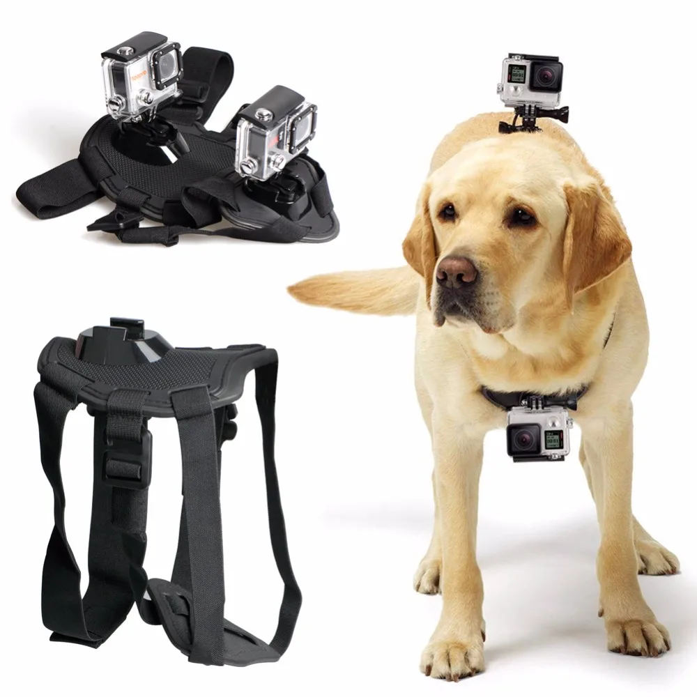 Аксессуары для спортивной камеры Aipal: регулируемый ремень для груди с креплением для собаки для Gopro 5 4 Xiaomi Yi SJCAM.