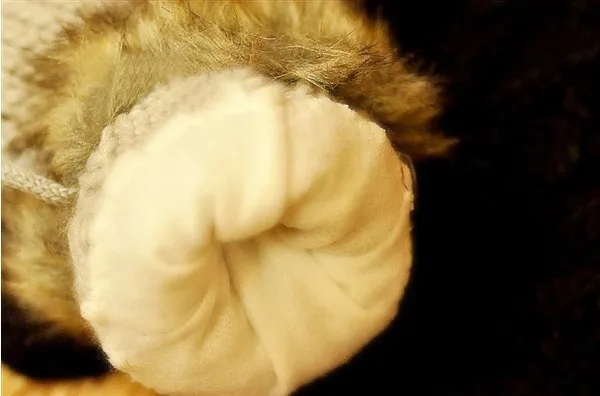 Min Order is $15(mix) G twist/lovely lady winter pure manual weaving upset warm feather fashion hang neck wool gloves For WS26 | Аксессуары