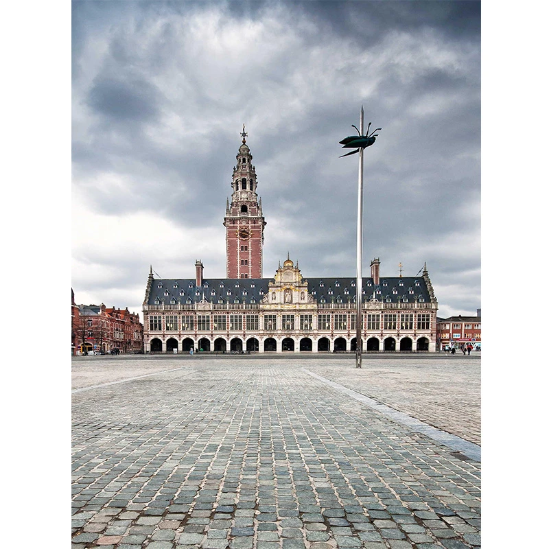 Набор для алмазной вышивки крестом набор квадратное украшение из страз картина