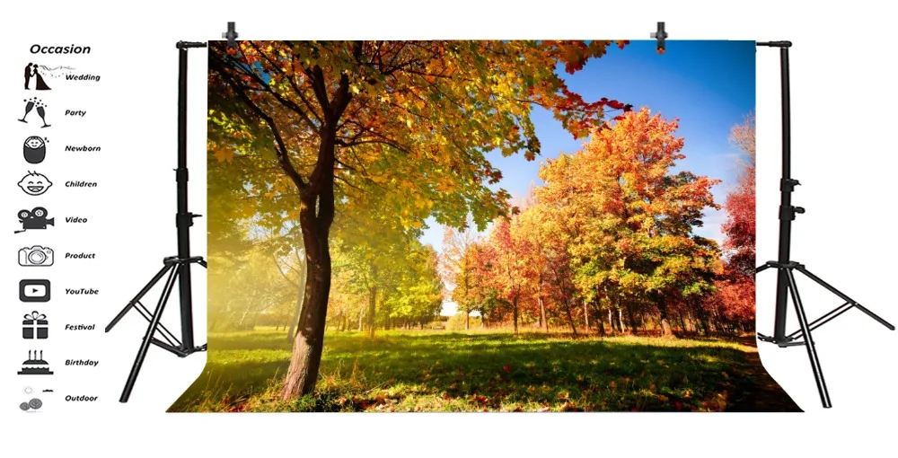 Laeacco Autumn Forest Grassland Portrait Scene Party Photography Backgrounds Customized Photographic Backdrops For Photo Studio |