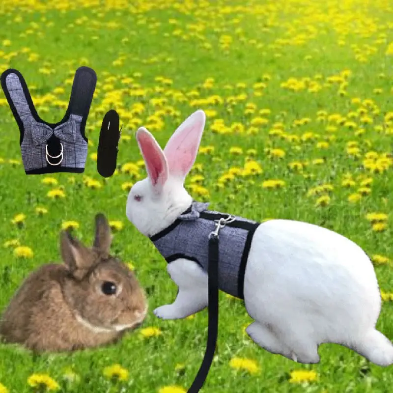 

New Rabbit Leash Lead Vest Small Animals Polyester Collars Hamster Guinea Pig Harness Leash Pet Strap S/M/L Size C42