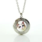 Ожерелье-медальон с изображением милого котенка, стеклянный кабошон, купол, щенок, собака, немецкие пастухи, бриллианты, ювелирные изделия N691