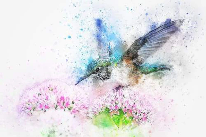 Glymg Diamond Mosaic Gift Diy Embroidery 5d Painting Hummingbird Watercolor Wall Arts Decor | Дом и сад