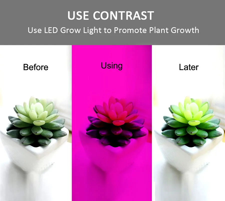 

5050 LED Grow Lights DC 12V waterproof Growing LED Strip Plant Growth Light Set with Power Adapter and Switch 1M 2M 3M 4M 5M