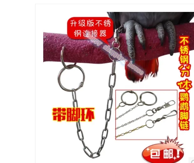 Pet birds large parrot anklet foot chain | Дом и сад