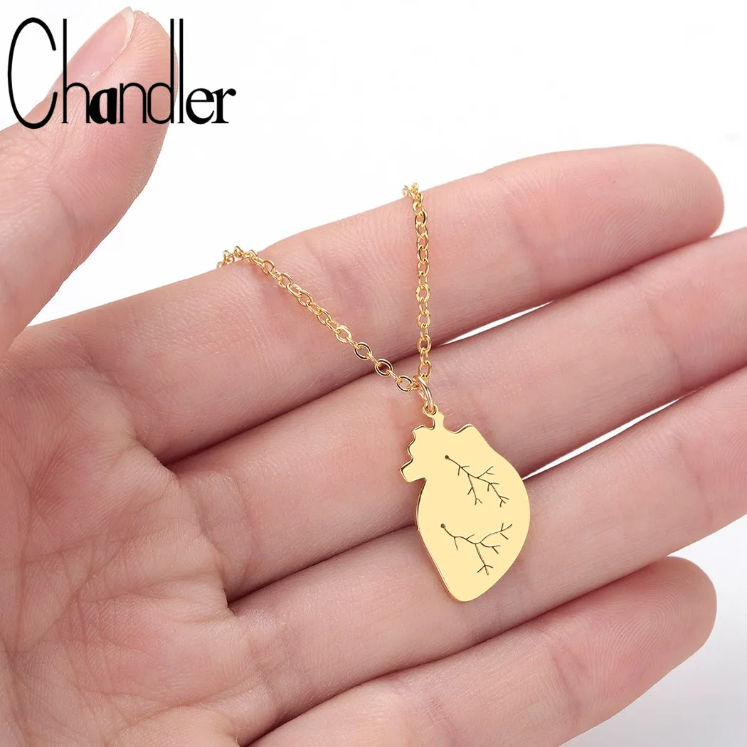 

Chandler Stainless Steel Human Heart Necklace For Lovers Medical Cardiology Jewelry Science Biology Choker Doctor Nurse
