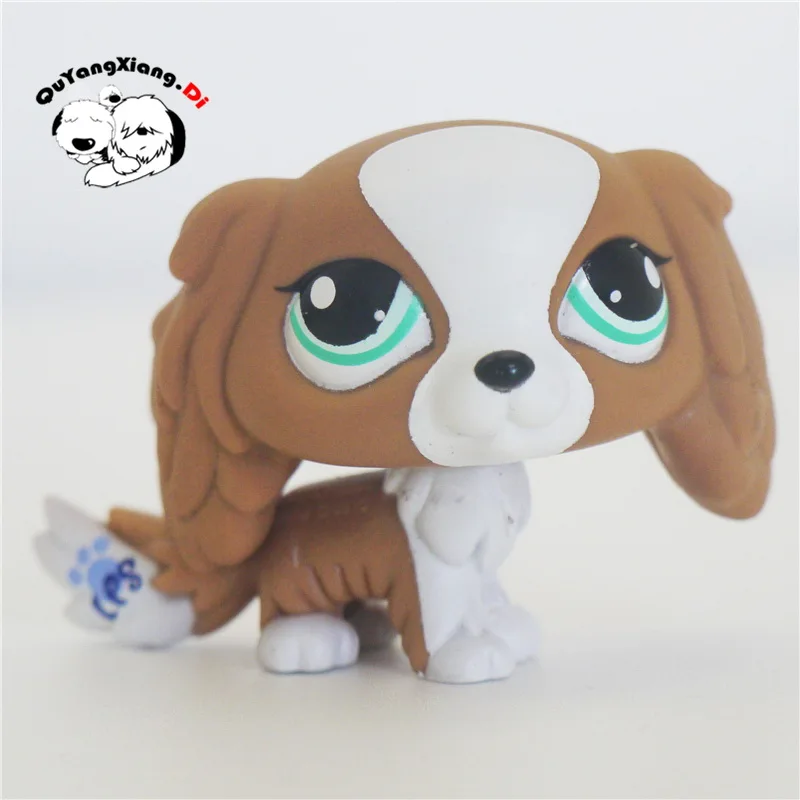 

CWG050 Pet Shop Animal Spaniel Brown&White Rares dog action Figure cute puppy