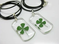 12 pcslot real four leaf clover with wish charm seed pendant necklace four leaf clover necklace gift