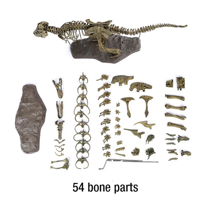 Большой динозавр 4D Собранный bone blast dragon детская игрушка тираннозавр окаменелый