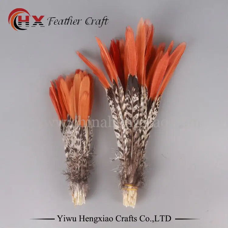 10 шт. натуральные перья фазана 5 размеров|lady amherst|feather plumeslady amherst pheasant |