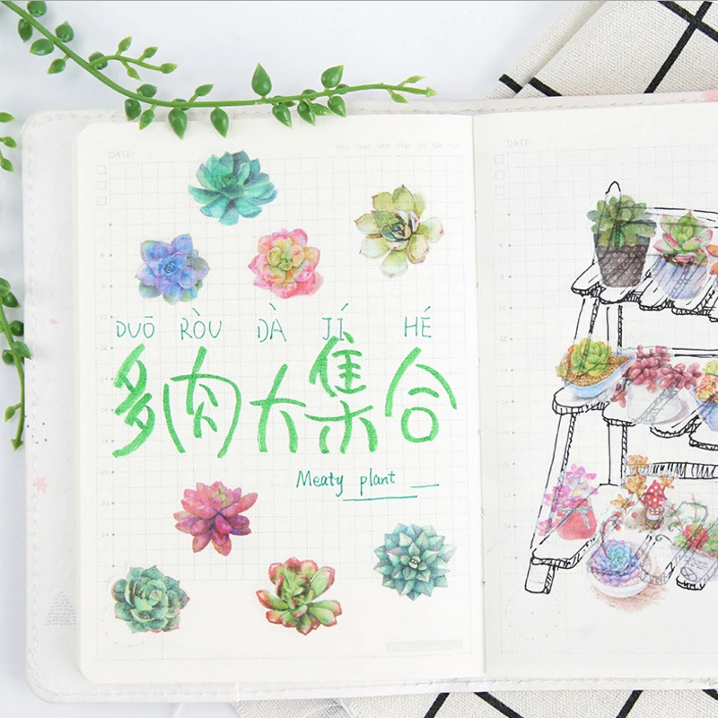 15packs/lot Succulent plants series paper sticker/Painting Scrapbooking Decoration label/DIY Diary Album Girls School Office | Дом и сад