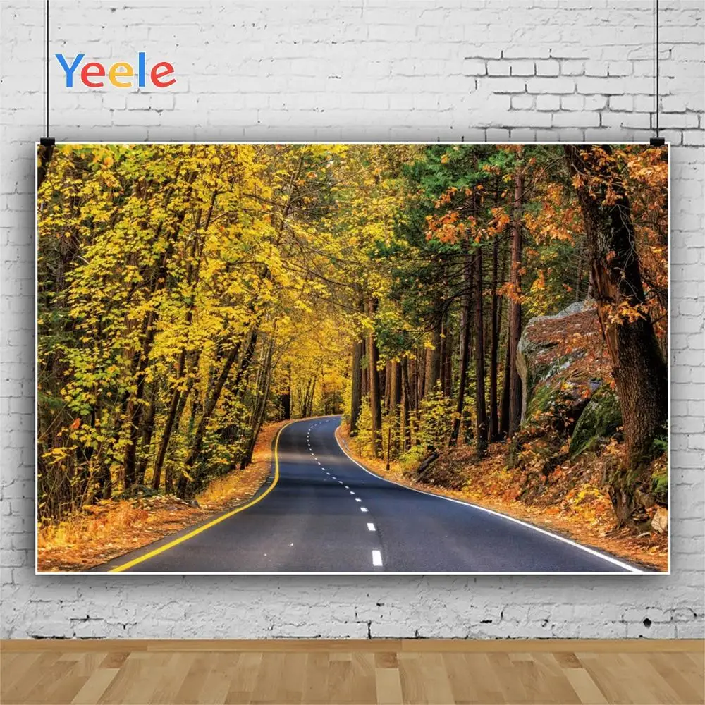 Yeele осенние золотые грунтовые дороги зеленые желтые листья Фото фоны