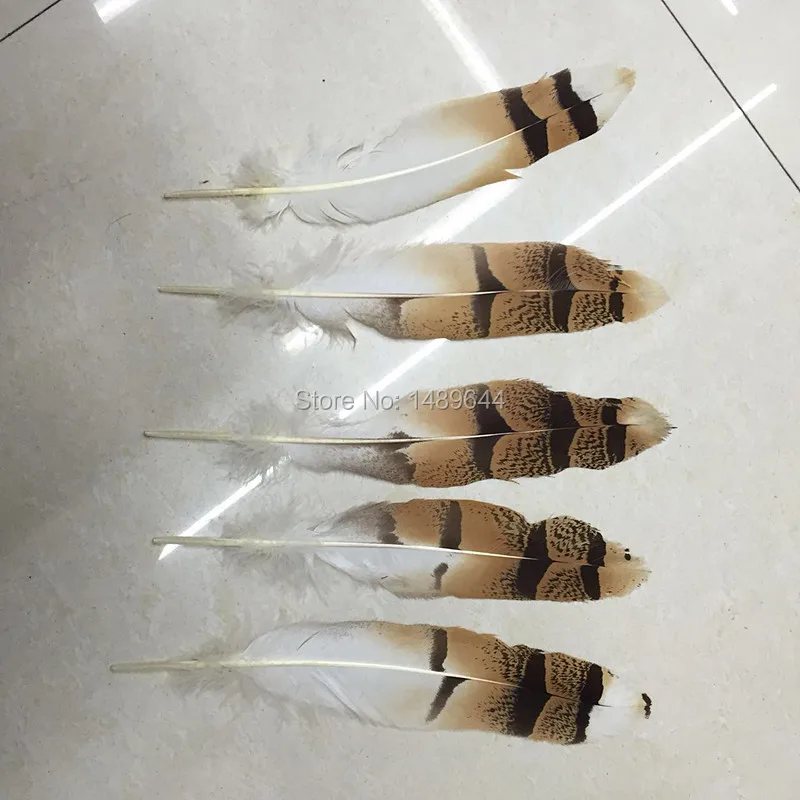 

Natural color eagle feathers a set of wholesale and retail ball ornament 15-25cm