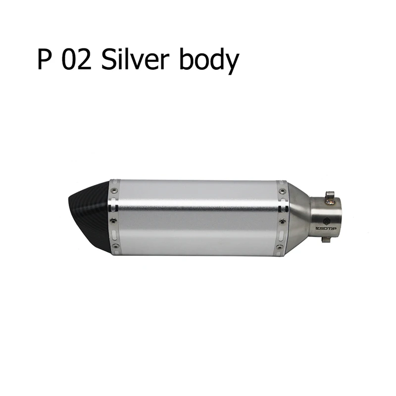 ZS гоночный Универсальный мотоцикл Akrapovic выхлоп модифицированный Кроссовый глушитель для FZ6 CBR250 CB600 MT07 ATV Dirt Pit Bike - Цвет: model P-02