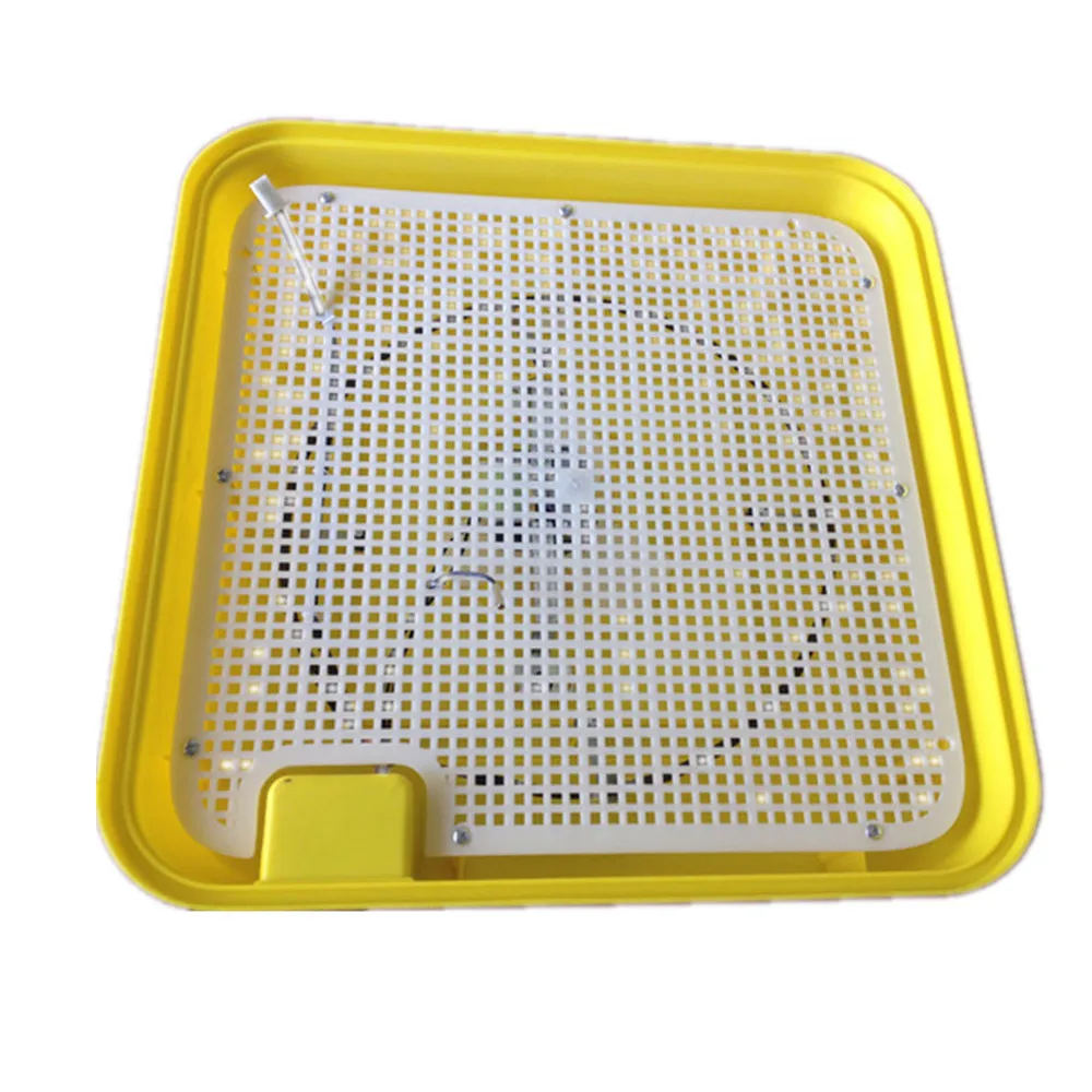 Промышленный Интеллектуальный инкубатор для яиц контроль температуры