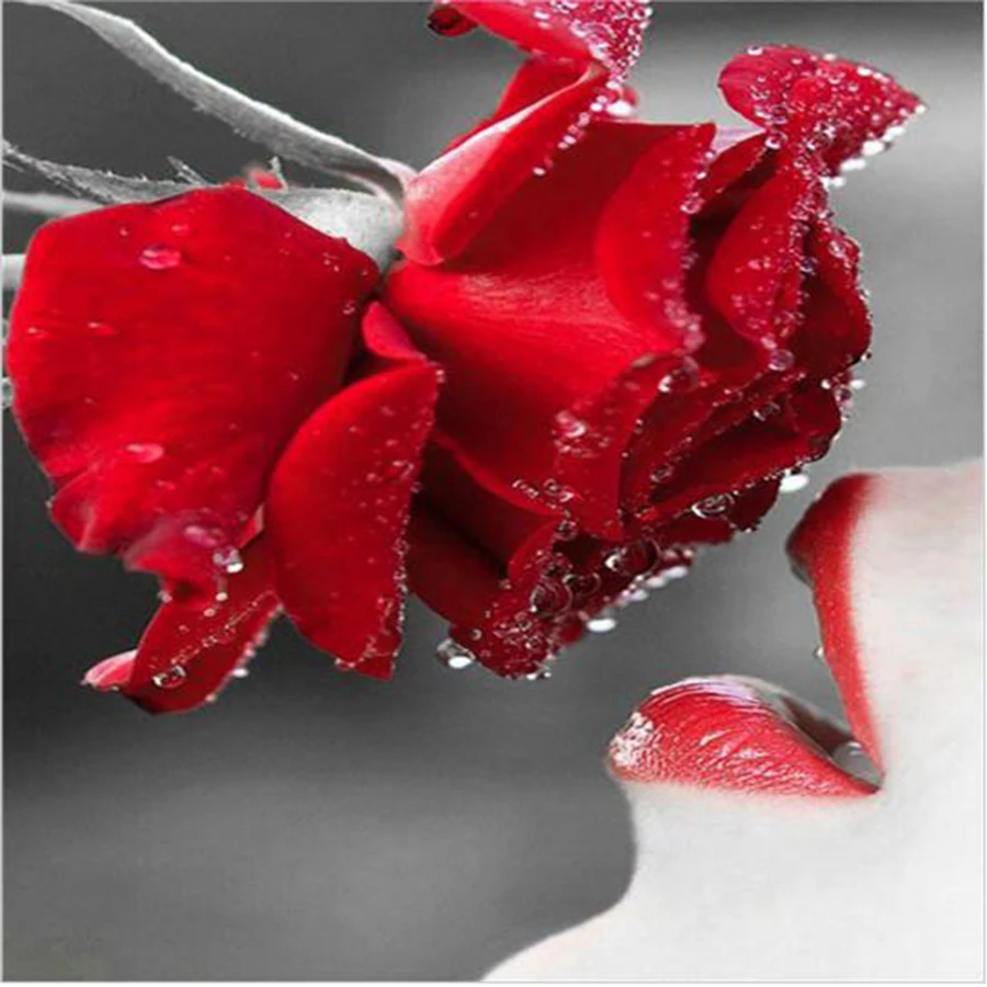 DIY Алмазная картина крестиком-наборы мозаика роза цветы изображения бриллиантов