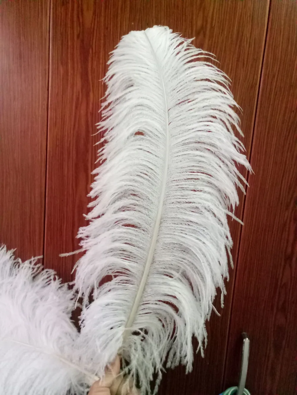 10 шт. высококачественные белые Страусиные feather22 24inches/55 60 см diy декоративные