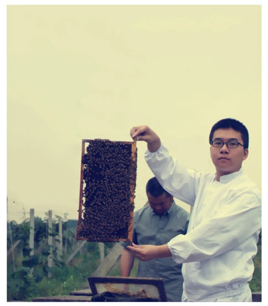 Дикий старый honeycomb Мед натуральный honeycomb Мед фермеры производят свои собственные почвы пик мед жевание есть черный Слот элемент 250 г