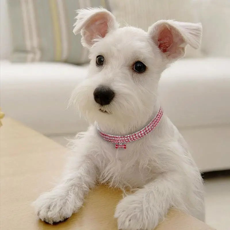 Beautiful Alloy Bling Rhinestone Dog Necklace Collar Pendant for Pet Puppy small dogs party decor