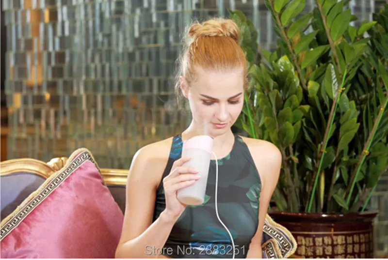 Хо стиль Мини Портативный USB автомобильный Анионный увлажнитель воздуха