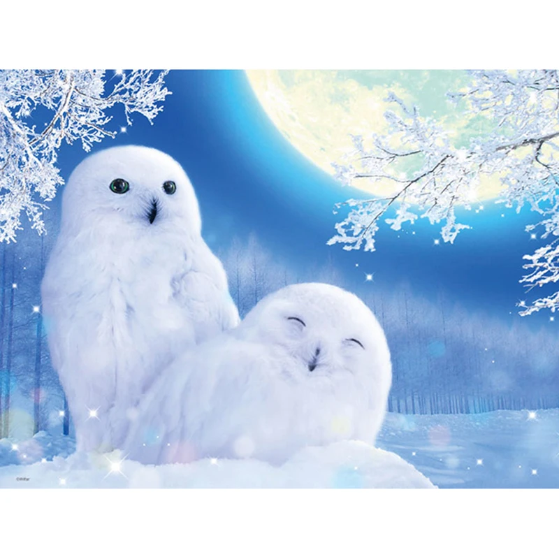 5D Diy Diamond Painting winter owl Cross Stitch diamond Mosaic Kits Home Decoration full Square Embroidery animal | Дом и сад