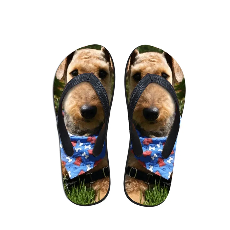 2021 летние пляжные новые шлепанцы Airedale Terrier с креативным принтом Модные