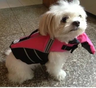 

Светоотражающий жилет для домашних питомцев, спасательный жилет для собак, летняя модернизированная спасательная жилетка с перекладиной