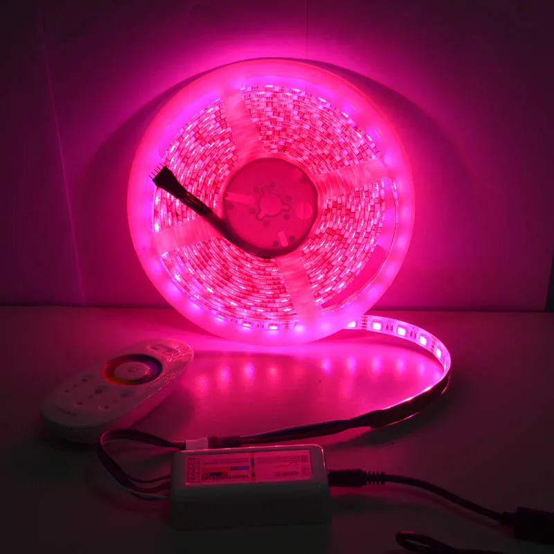 

Jiawen 5050 DC12V RGBW LED Strip 5M 300LED RGBW LED Light Strip Tape With 3A Power And 2.4G RF Touch Controller
